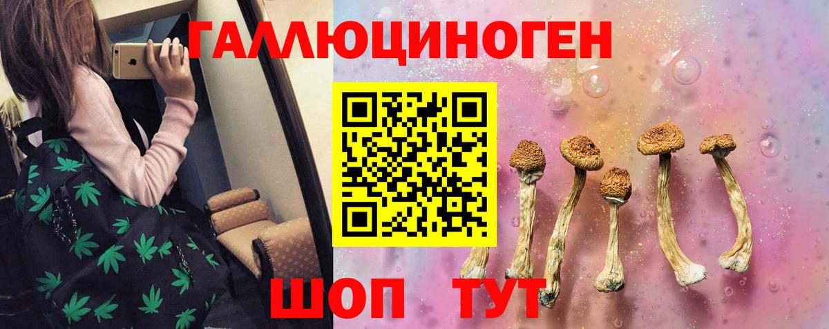 Псилоцибиновые грибы Psilocybine cubensis  Галлюциногенные грибы MAGIC MUSHROOMS  Новочеркасск  Вход с VPN 