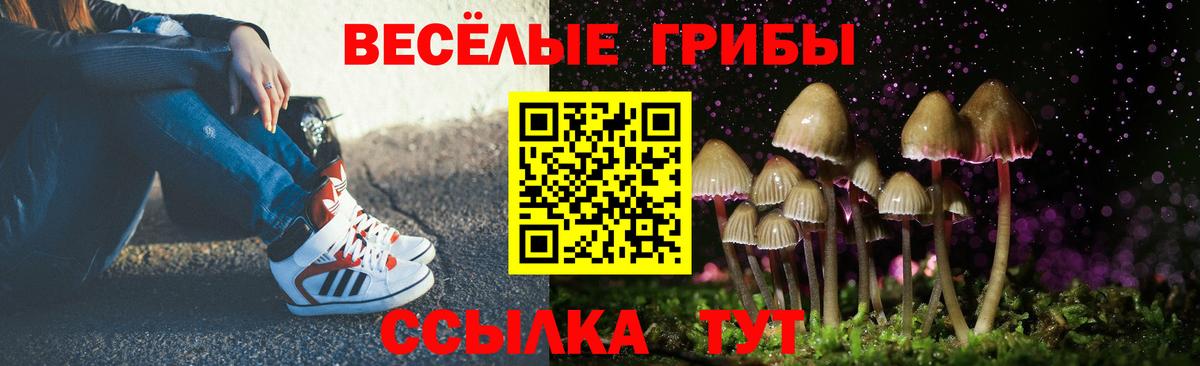 Псилоцибиновые грибы Psilocybine cubensis Новочеркасск